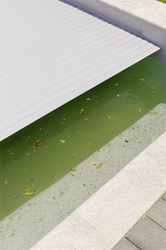 Photo d'une piscine lors de sa mise en service au printemps où l'on voit le volet roulant s'ouvrir sur un eau verte.