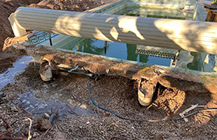 Piscine initiale avant rénovation de la coque Photo d'une piscine dans un sale état. Les skimmers sont morts, l'eau est sale et la coque usée.